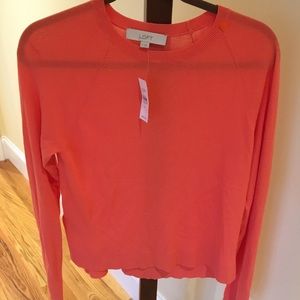 Loft Coral Sweater